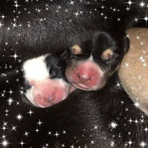 Meet your Posher, Kristi